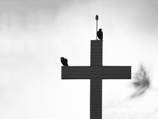 a53fa66666354488a46136a7bf0b27e3